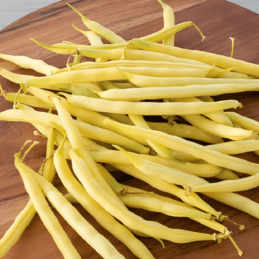 Wax Beans Gondola Seeds Phaseolus Vulgaris Tender Yellow Variety
