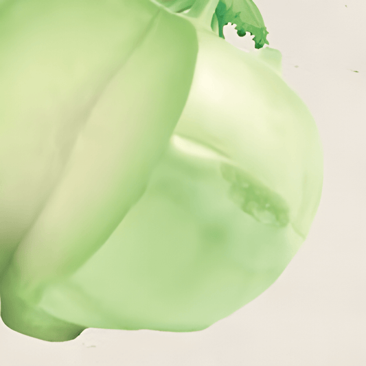 Organic Kohlrabi Korist F1 Seeds Brassica Oleracea Vegetable