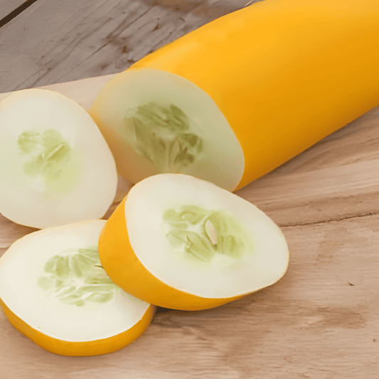 Yellow Cluster Cucumber Seeds Cucumis Sativus Vegetable Variety