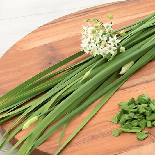 Garlic Chives Seeds Allium Tuberosum Hardy Perennial Herb