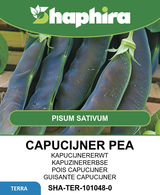 Capucijners Seeds Pisum Sativum Désirée High Yield Variety
