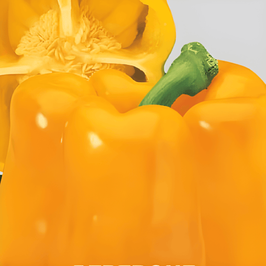 Yellow Bell Pepper Seeds Capsicum Annuum L. Sweet Fleshy