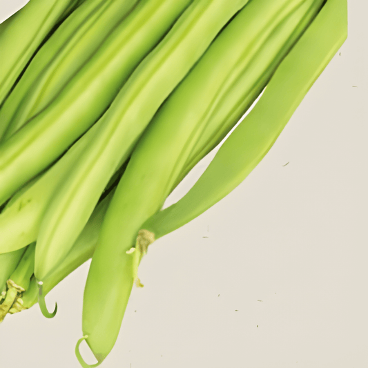 Organic Stamslaboon Maxi Phaseolus Vulgaris Vegetable Seeds