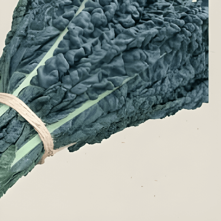 Organic Palm Cabbage Brassica Oleracea Seeds Nero Di Toscana