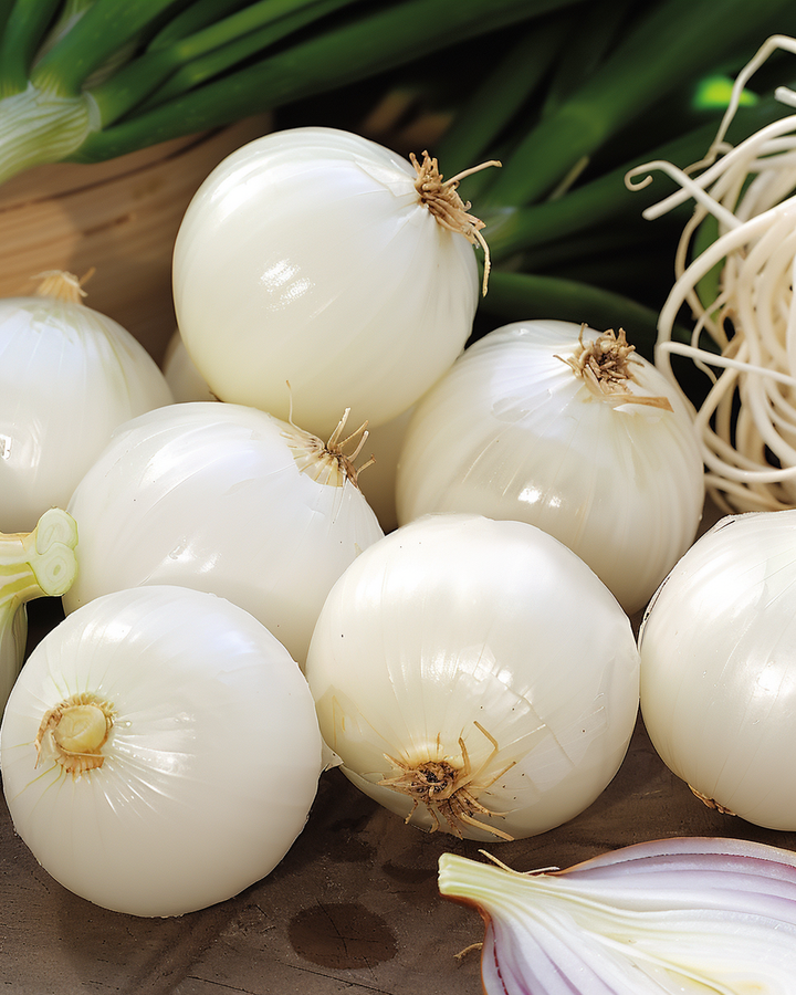 Pickling Onion Seeds De Barletta Allium Cepa Early Silver Bulbs