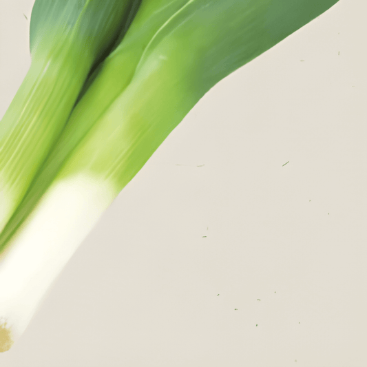 Organic Leek Autumn Giants 2 Seeds Allium Porrum Vegetable