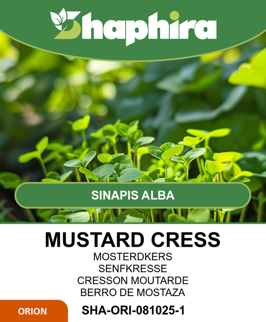 Organic Sprouting Mustard Cress Sinapis Alba Seeds 250g