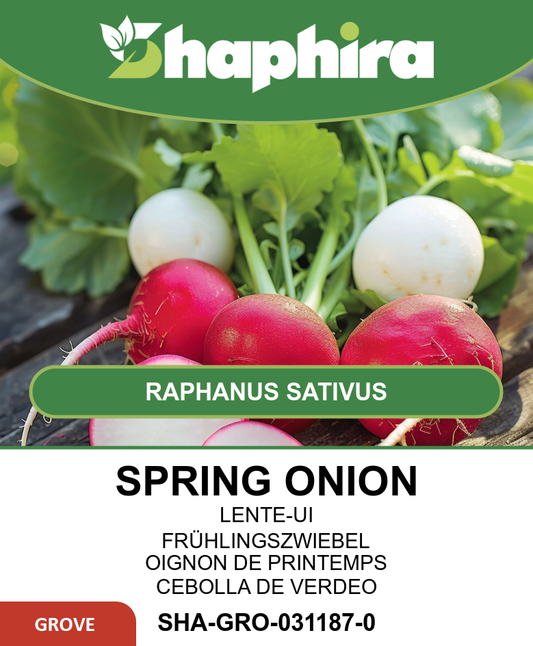 Spring Onion Seed Tape Allium Cepa White Lisbon Seeds