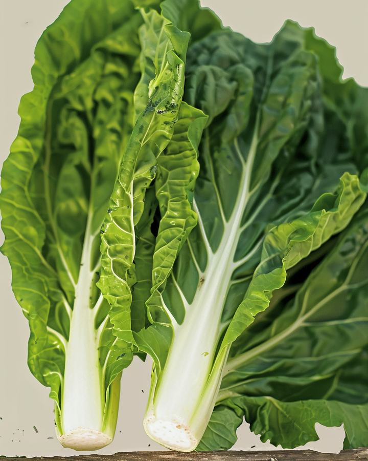 Organic Swiss Chard Seeds Beta Vulgaris White Silver 2 Variety