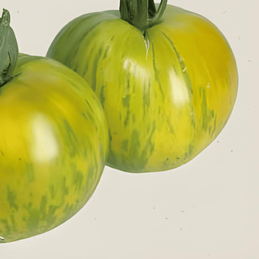 Organic Green Zebra Tomato Seeds Solanum Lycopersicum Vegetables