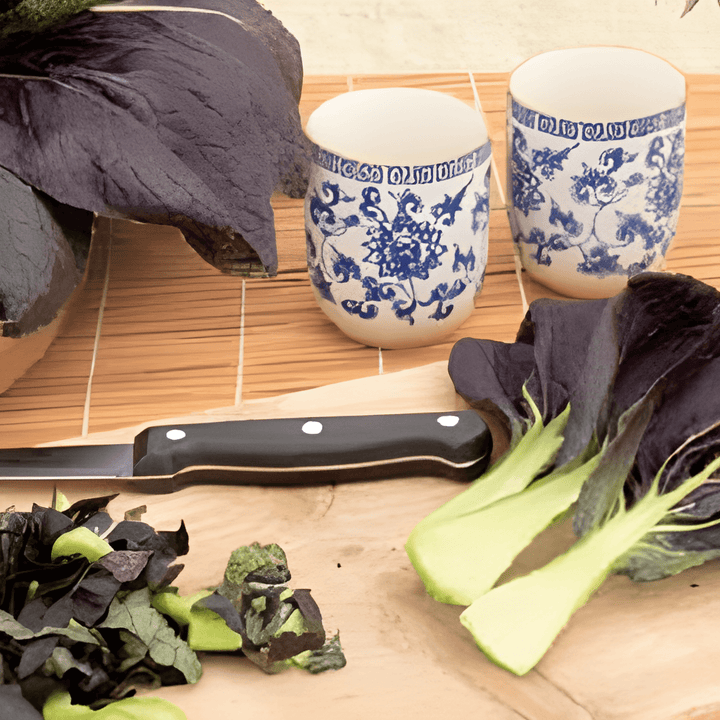 Japanese Tatsoi Brassica Rapa Var Narinosa Seeds Red Variety