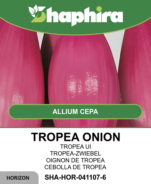 Tropea Onion Seeds Allium Cepa L Sweet Red Vegetable Seeds