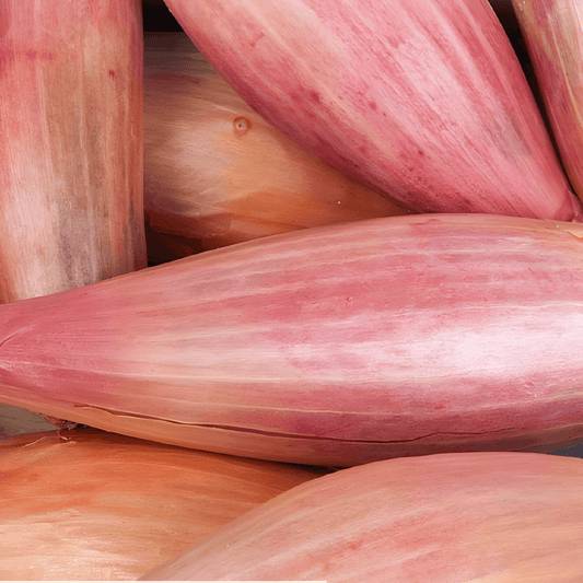 Elongated Red Onion Seeds Allium Cepa Rossa Lunga Di Firenze