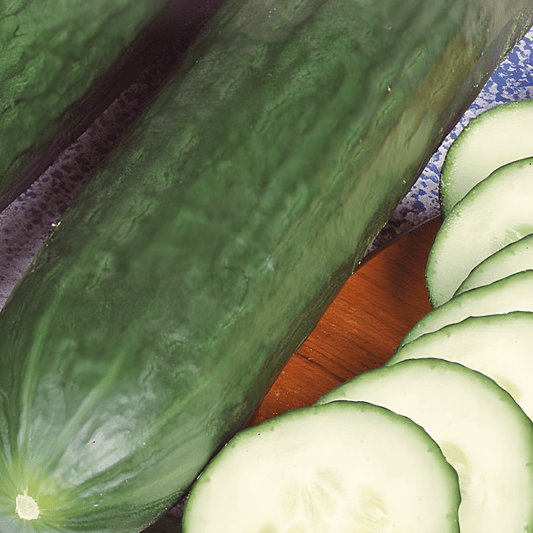 Cucumber Seeds Johanna Cucumis Sativus Vigorous Dark Green Fruits