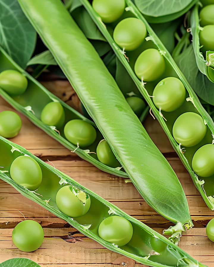 Eminent Snap Peas Seeds Pisum Sativum Early Harvest Vegetable Seeds
