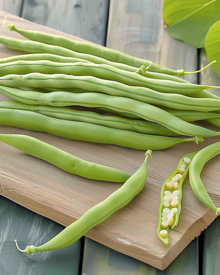 Green Beans Haricot Vert Seeds Phaseolus Vulgaris Variety Argus
