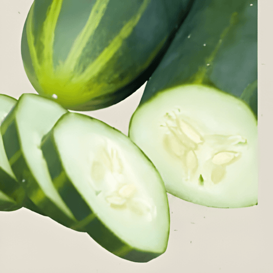 Organic Cucumber Seeds Marketmore Cucumis Sativus Variety