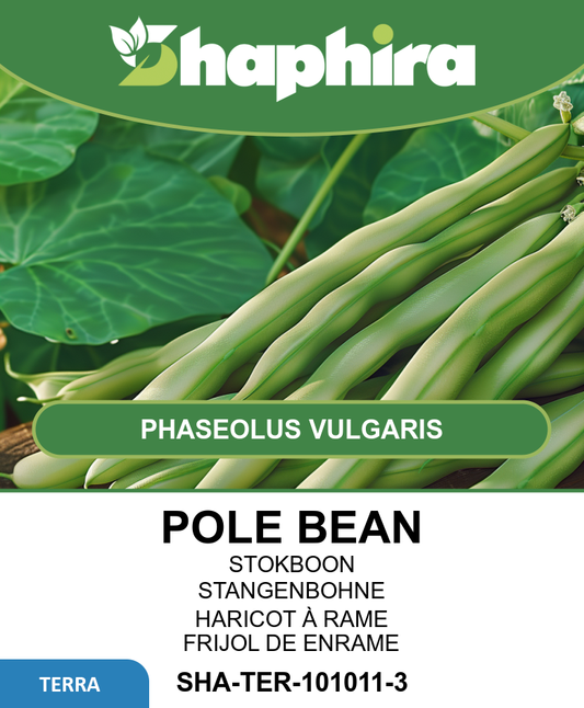 Mechelse Tros Pole Beans Seeds Phaseolus Vulgaris Stringless 100g