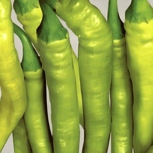 Lombard Pepper Seeds Capsicum Annuum L. Italian Hot Chili