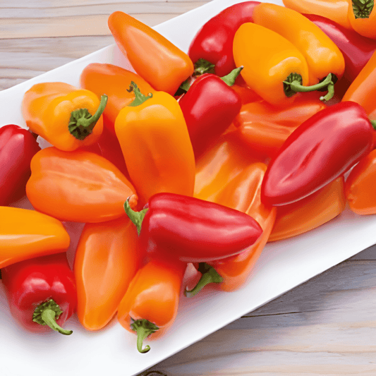 Snack Bell Pepper Seeds Mixed Colors Mini Sweet Peppers
