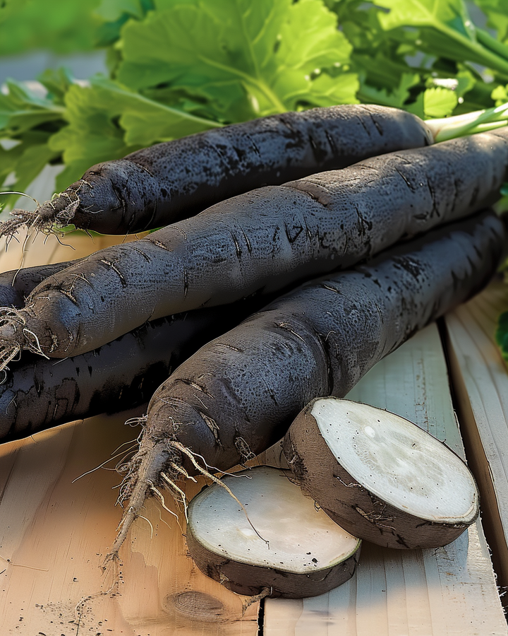 Salsify Seeds Scorzonera Hispanica Duplex Vegetable Seeds