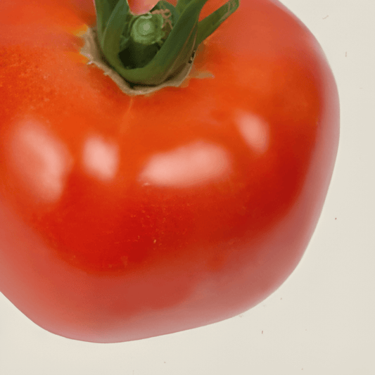 Organic Tomato Seeds Ace 55 VF Solanum Lycopersicum