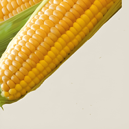 Organic Sweet Corn Golden Bantam Zea Mays Seeds