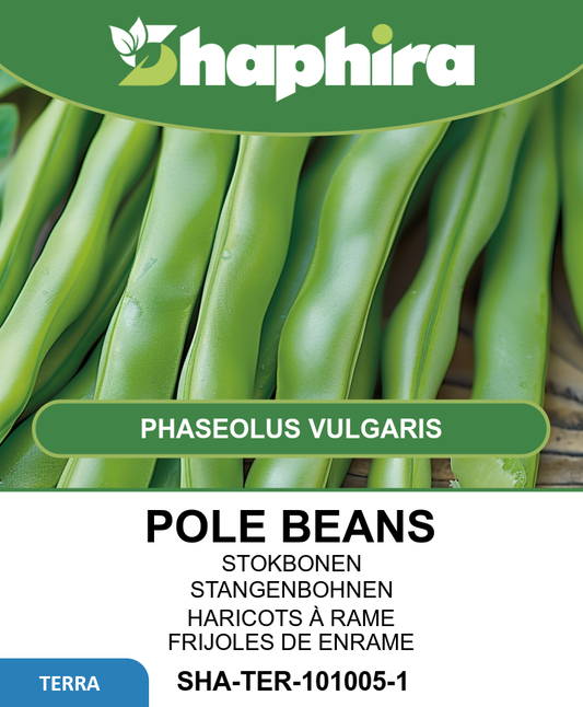 Pole Snap Beans Seeds Raadsheer Phaseolus Vulgaris 100 Grams