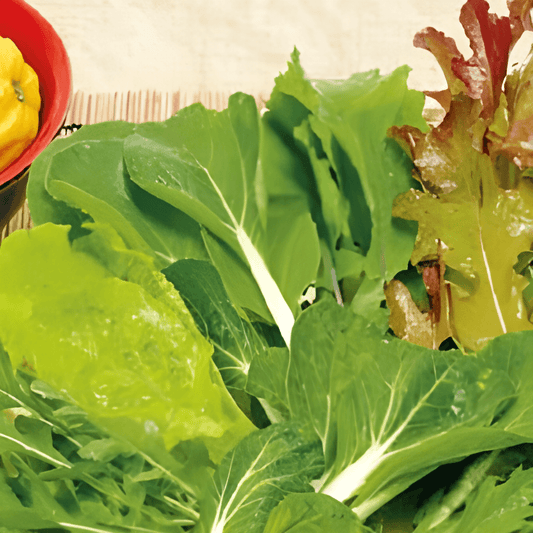 Baby Leaf Salad Mix Seeds Oriental Flavor Exotic Variety