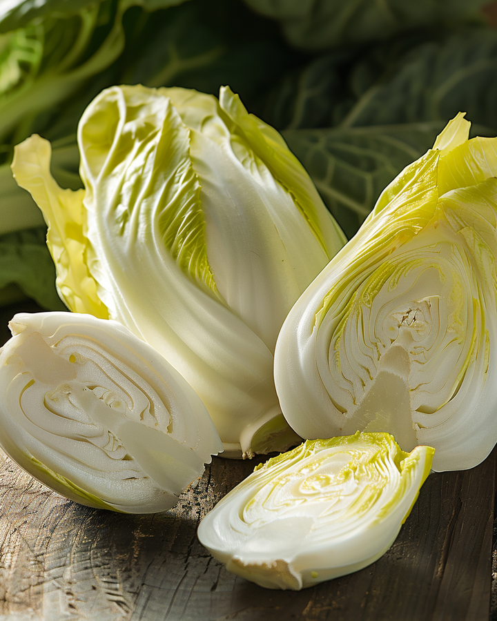 Belgian Endive Seeds Cichorium Intybus Zoom F1 Variety