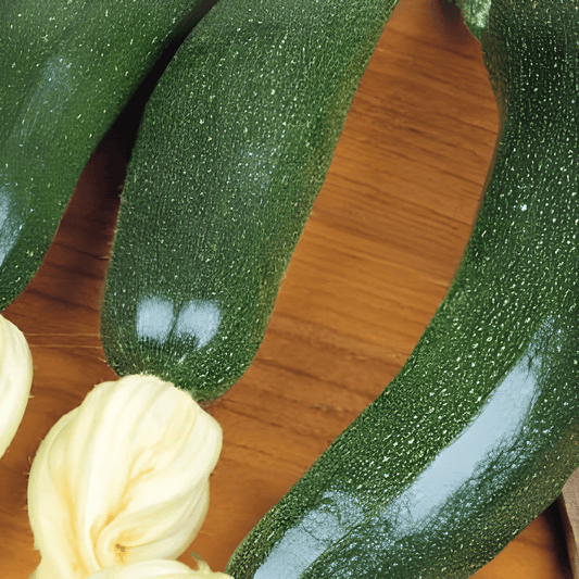 Courgette Diamant F1 Seeds Cucurbita Pepo High Yield Vegetable