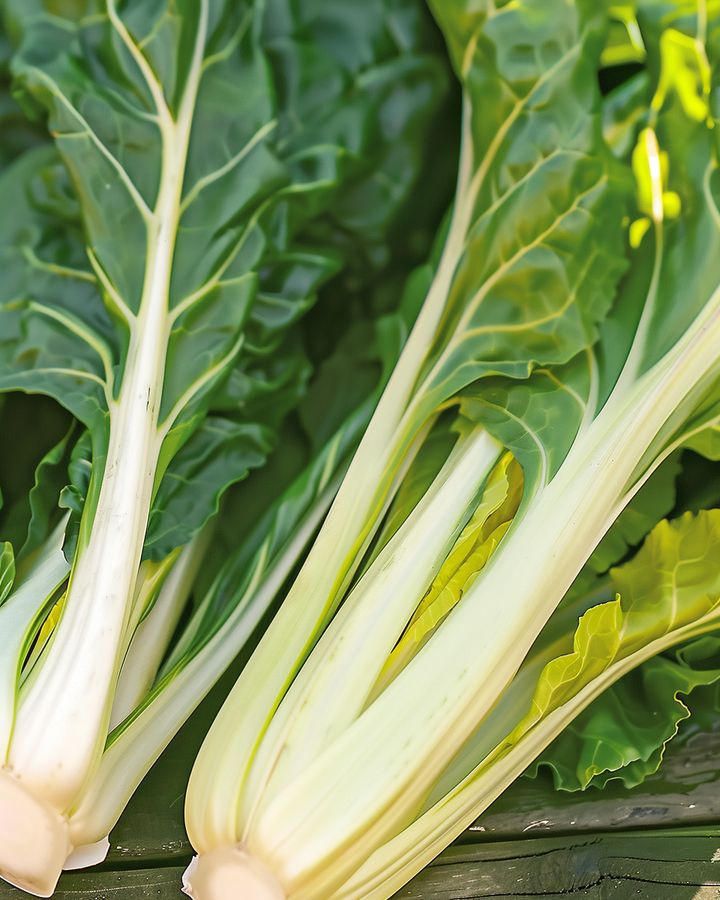 Swiss Chard Seeds Beta Vulgaris Yellow White Ribbed Vegetable