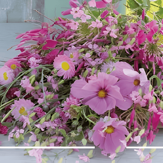 Pretty Pink Summer Flower Seeds Colorful Annual Mix