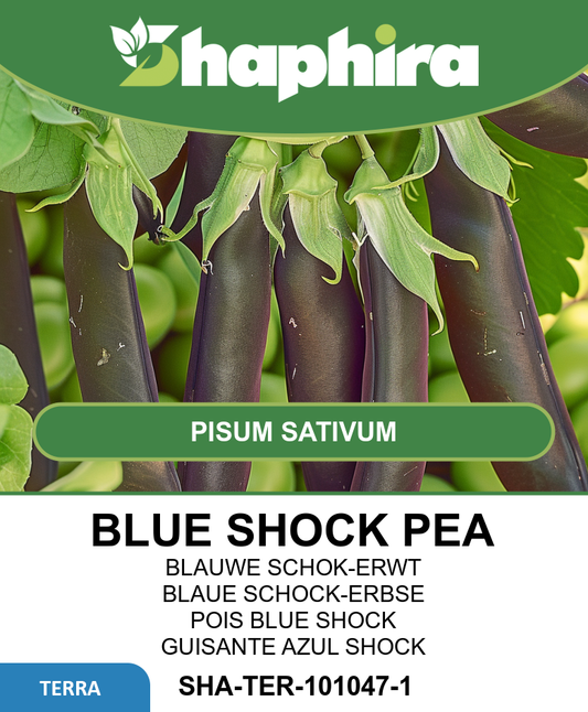 Blue Shock Capucijners Seeds Pisum Sativum Vegetable Variety