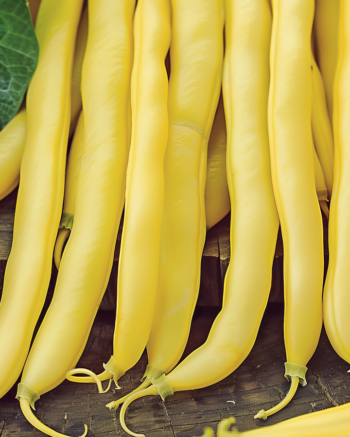 Green Beans Minidor Seeds Phaseolus Vulgaris Slender Yellow Wax