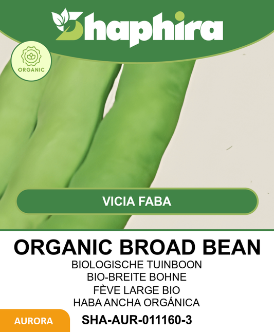 Organic Broad Bean Seeds Vicia Faba White Flower Variety