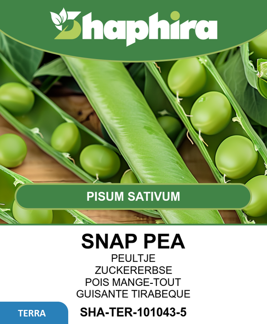 Eminent Snap Peas Seeds Pisum Sativum Early Harvest Vegetable Seeds