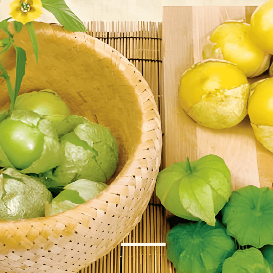 Tomatillo Seeds Physalis Ixocarpa Juicy Sweet Sour Fruits