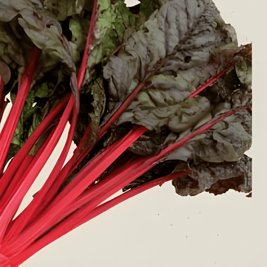 Organic Swiss Chard Seeds Beta Vulgaris Rhubarb Chard Vegetable
