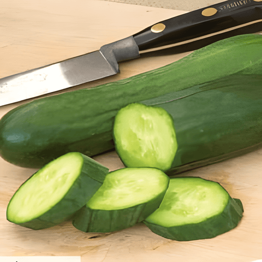 Snack Cucumber Kaikura F1 Seeds Cucumis Sativus Early Harvest