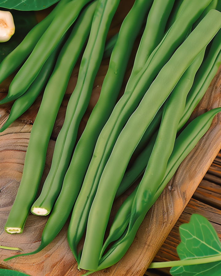 Chinese Green Beans Seeds Phaseolus Vulgaris Miracle Variety