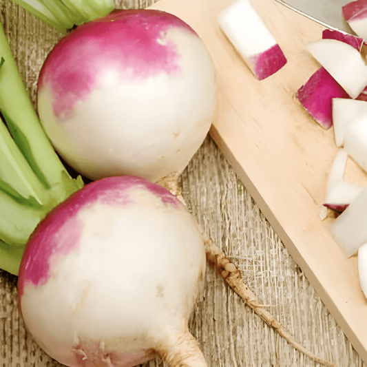 Round White Red Head Turnip Seeds Brassica Rapa Variety