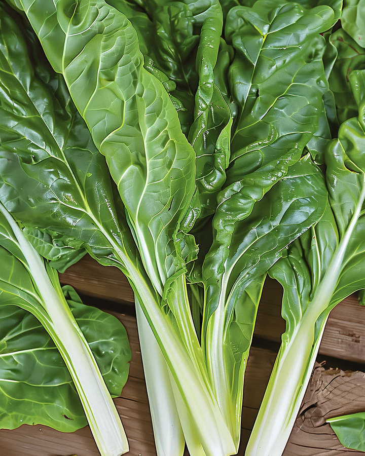 Swiss Chard Lucullus Beta Vulgaris Vegetable Seeds