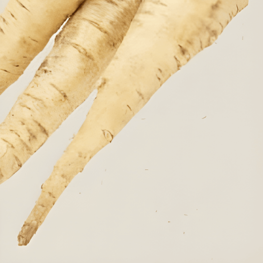 Guernsey Parsnip Seeds Pastinaca Sativa Traditional Vegetable Variety