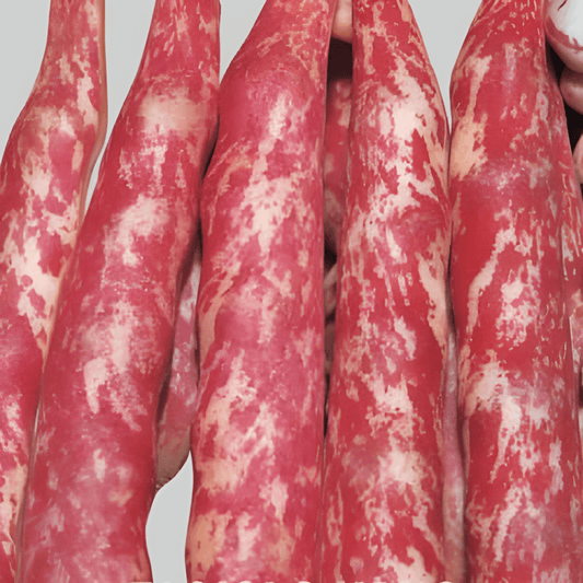 Borlotto Bean Seeds Phaseolus Vulgaris L Italian Heritage Variety