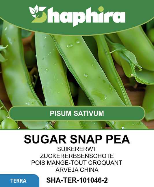 Sugar Snap Peas Seeds Pisum Sativum Sweet Shelling Variety 100g