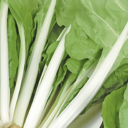 Swiss Chard Seeds Beta Vulgaris Yellow White Ribbed Vegetable