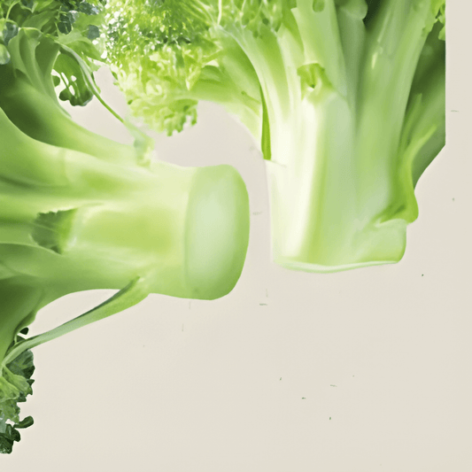 Organic Broccoli Belstar F1 Brassica Oleracea Seeds