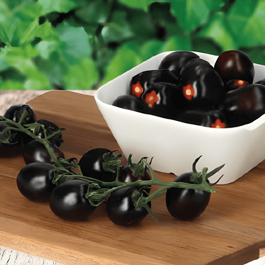 Black Snack Tomato Seeds Solanum Lycopersicum Nightshade F1