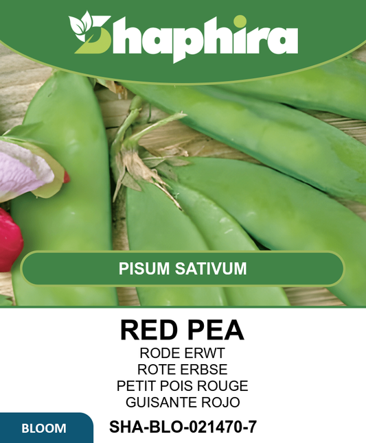 Gray Red-Flowering Peas Seeds Pisum Sativum High Yield Variety